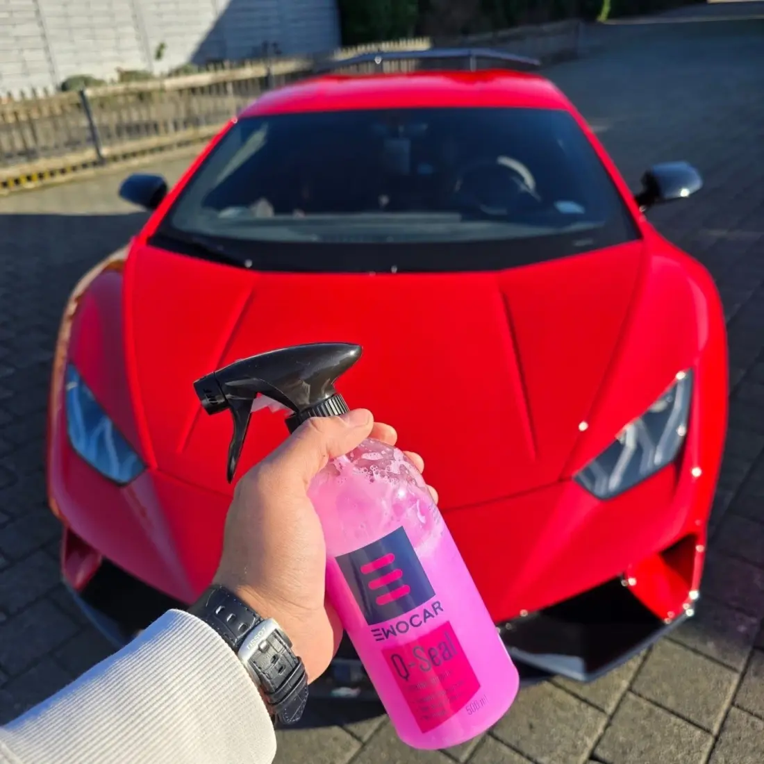 ewocar apsaugine danga